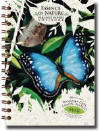 Blue Morpha Butterfly Tree Free Paper Journal
