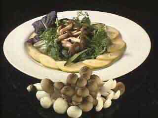 Mushroom Basket Information