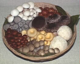 Fresh Gourmet  Mushroom Basket
