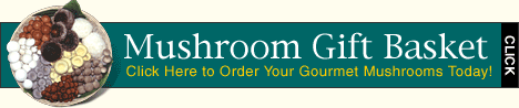 Mushroom Gift Basket