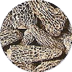 Dried Morel Mushrooms