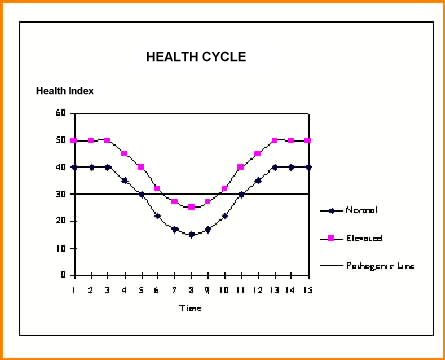 Health Cycle of Typical Person